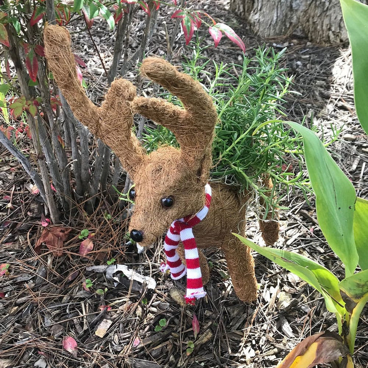COCO ANIMAL PLANTERS