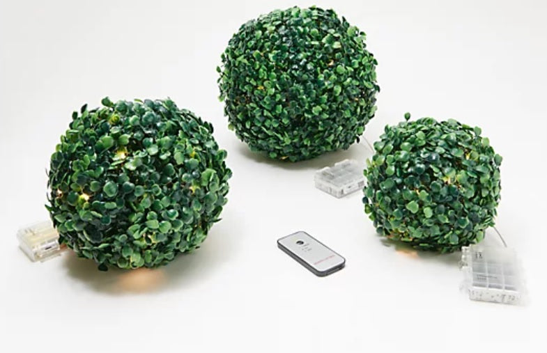 Set of 3 Boxwood Balls