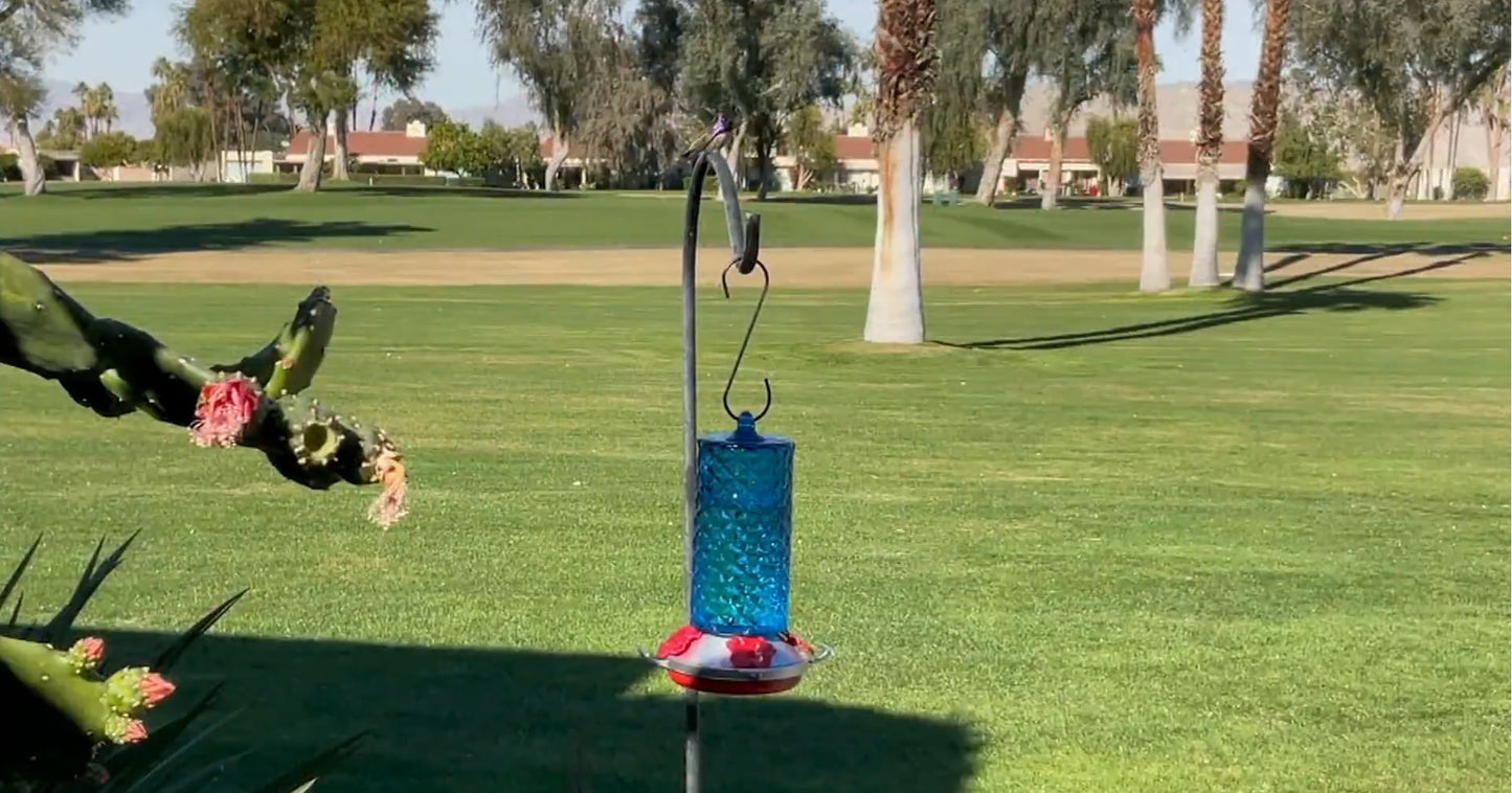 HUMMINGBIRD FEEDER - M79990 - SINGLES