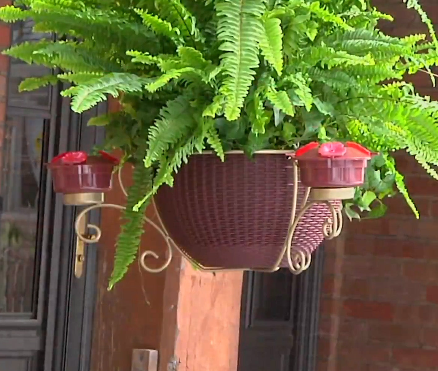 Hanging Planter & 3 Bird Feeders M71058