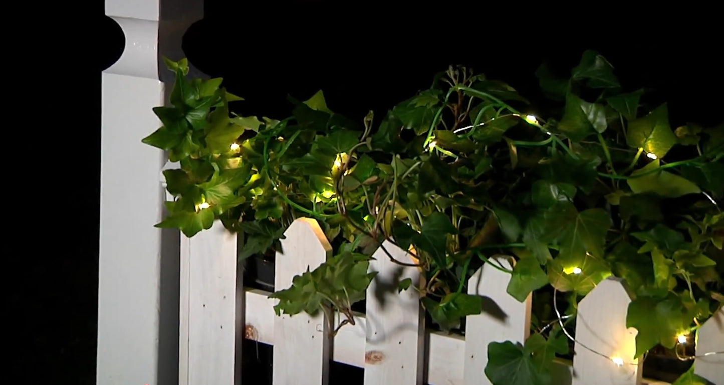 SET OF 2 Ivy Vine Fairy Lights