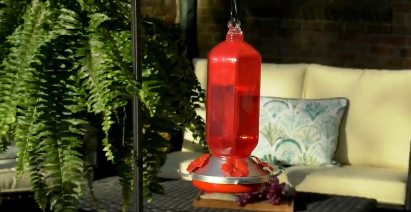 HUMMINGBIRD FEEDER - M79990 - SINGLES