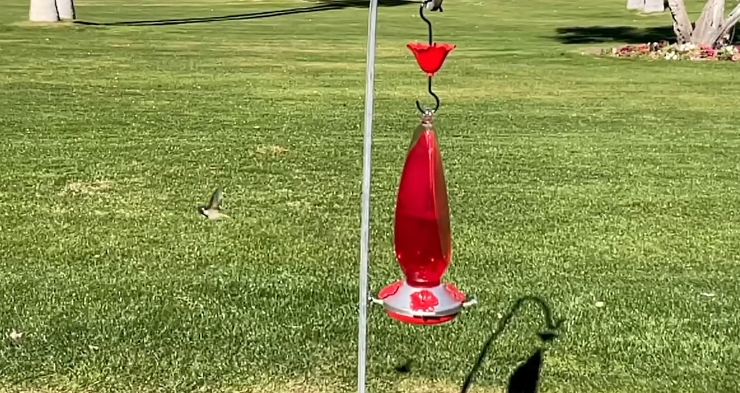 HUMMINGBIRD FEEDERS - M79991 - SINGLE TEAR DROP SERIES