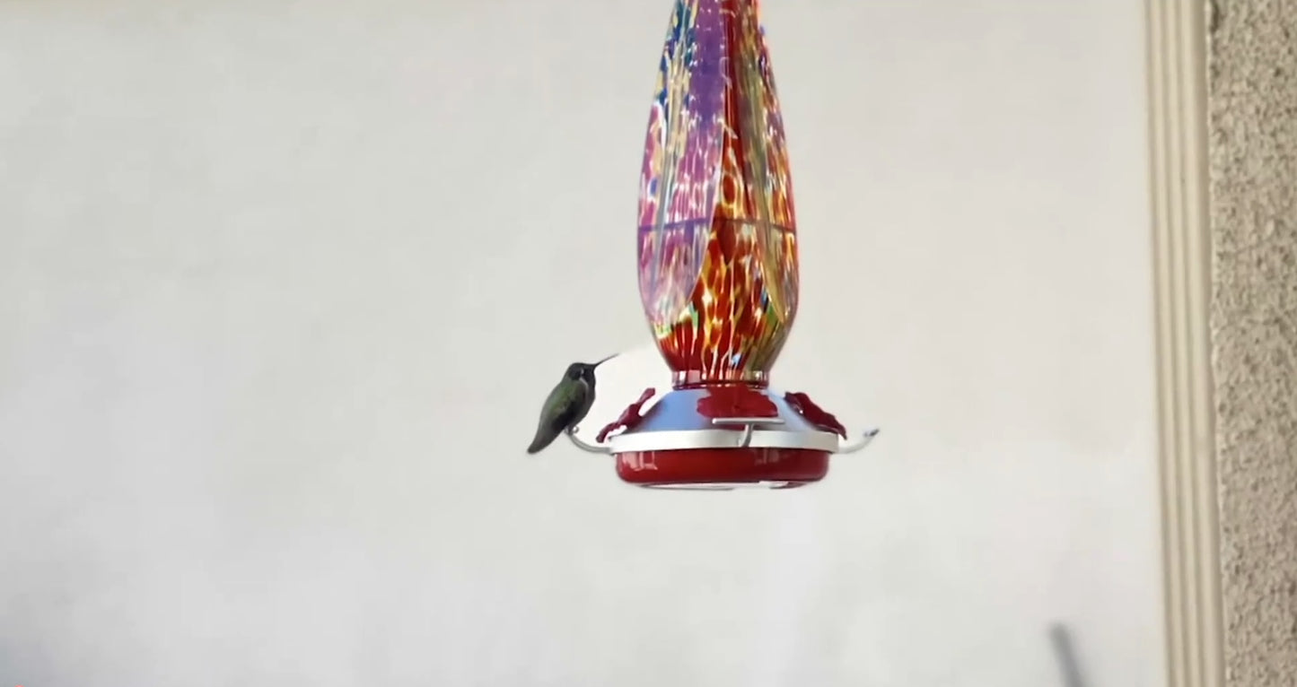 HUMMINGBIRD FEEDERS - M79991 - SINGLE TEAR DROP SERIES