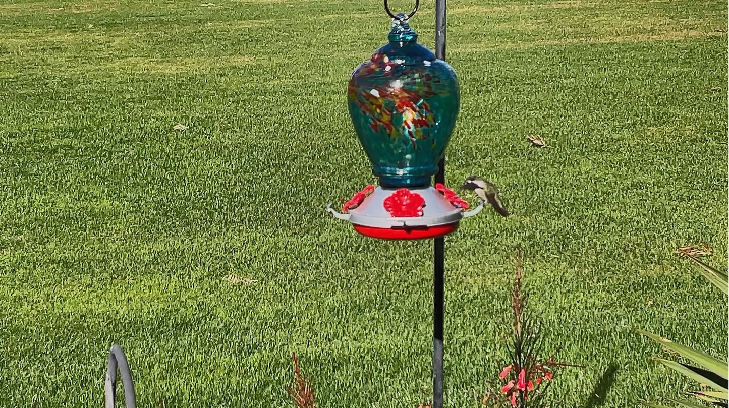 HUMMINGBIRD FEEDER - M79990 - SINGLES