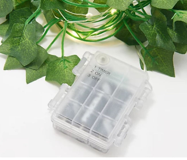 SET OF 2 Ivy Vine Fairy Lights