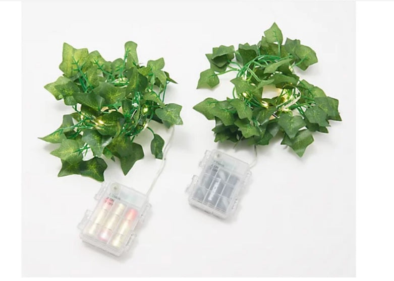 SET OF 2 Ivy Vine Fairy Lights