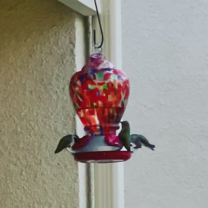 Hummingbird Feeder M79990 – SHOPDEPALMA