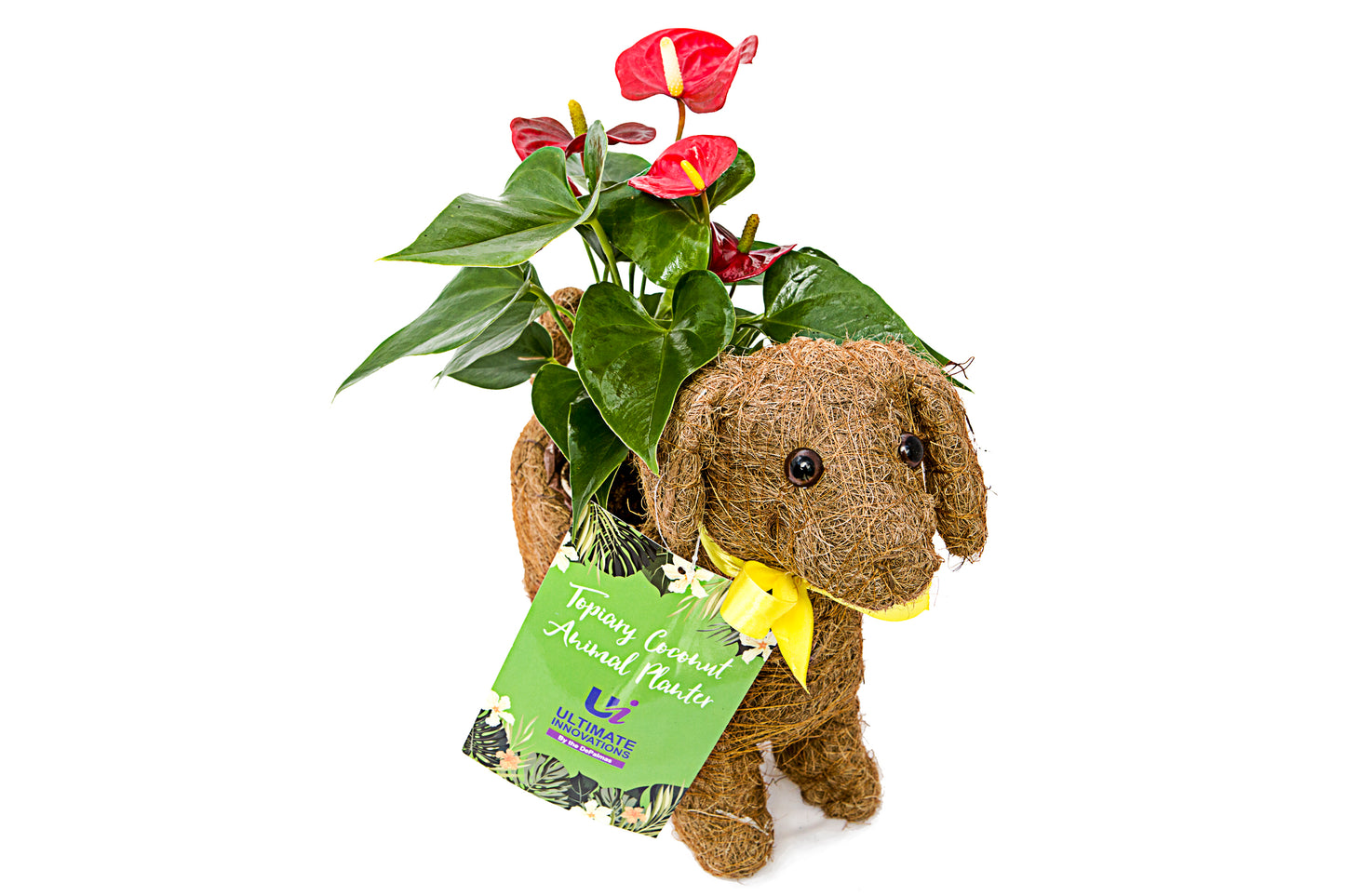 Dog Coco Planter
