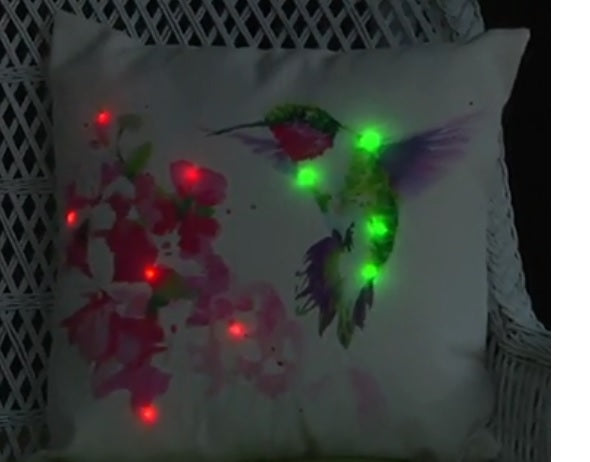 Hummingbird