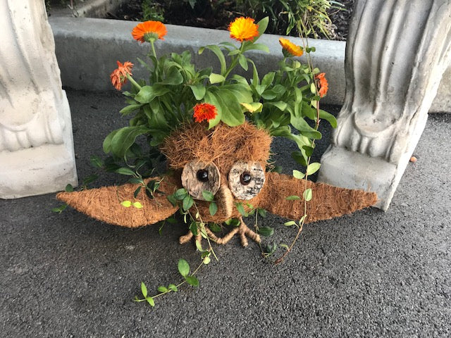 COCO ANIMAL PLANTERS