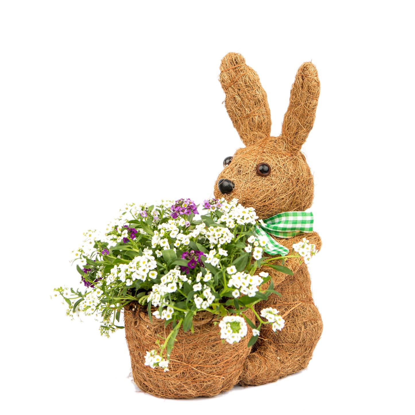 COCO ANIMAL PLANTERS
