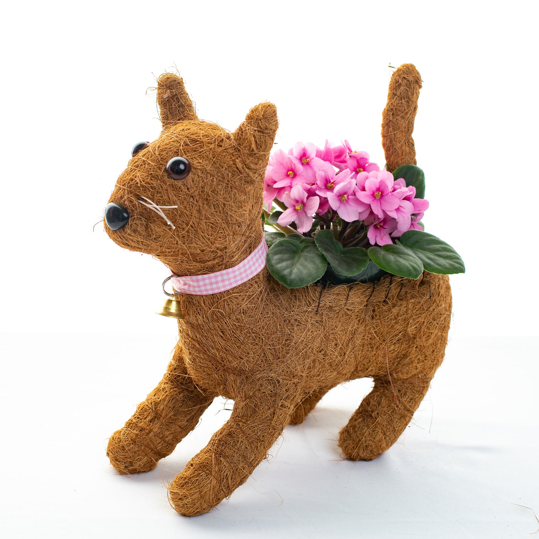 Coco Animal Planters – SHOPDEPALMA
