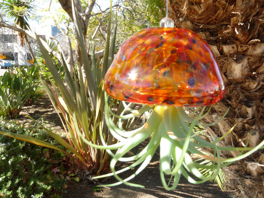 Set of 2 Glass Jellyfish with Faux Plant