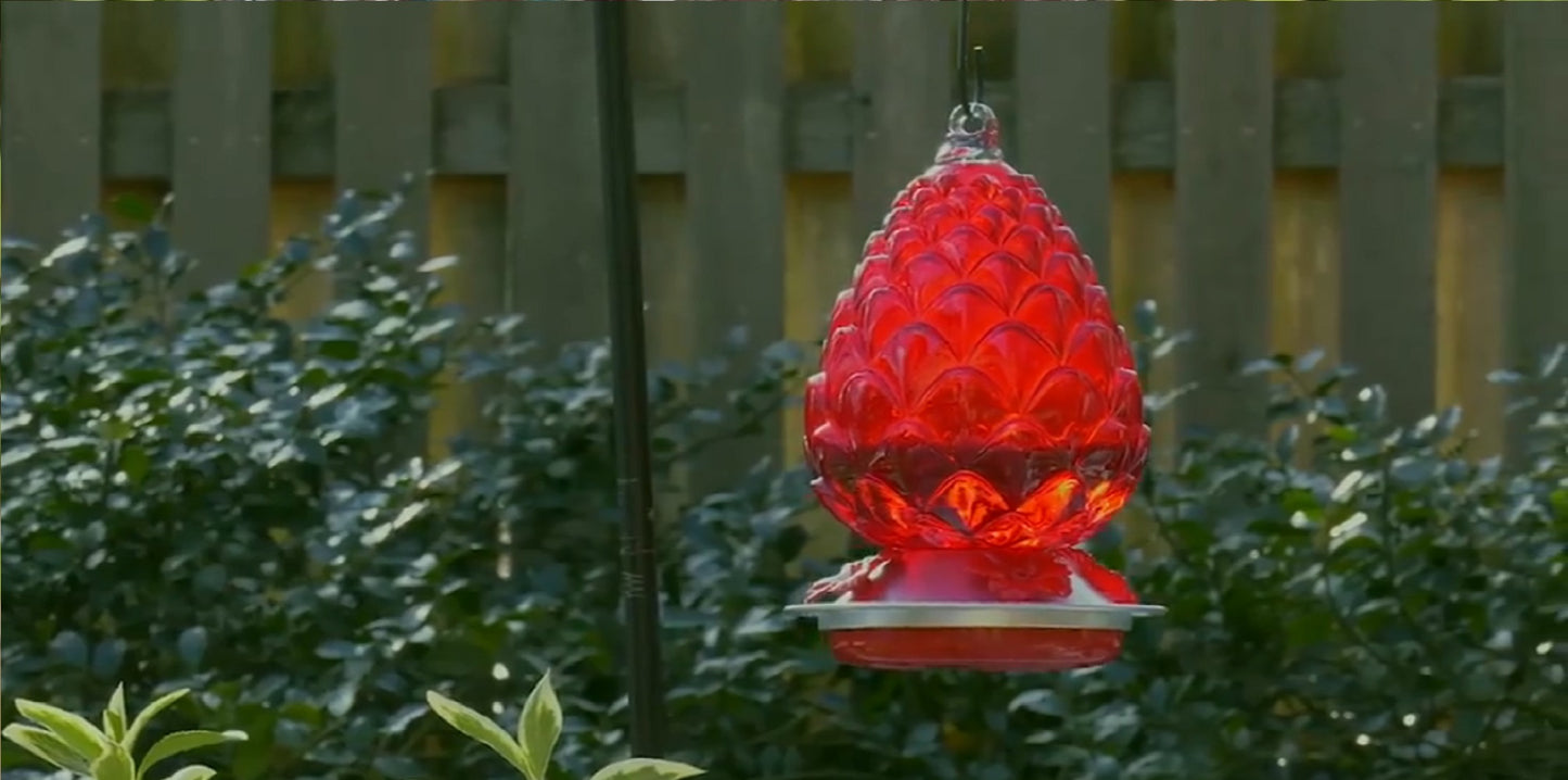 PINECONE HUMMINGBIRD FEEDER