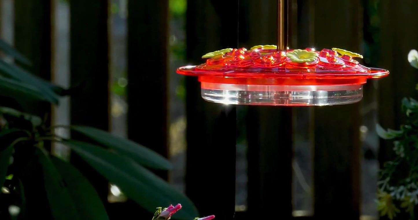 Set of 2 Mini Flat Hummingbird Feeder