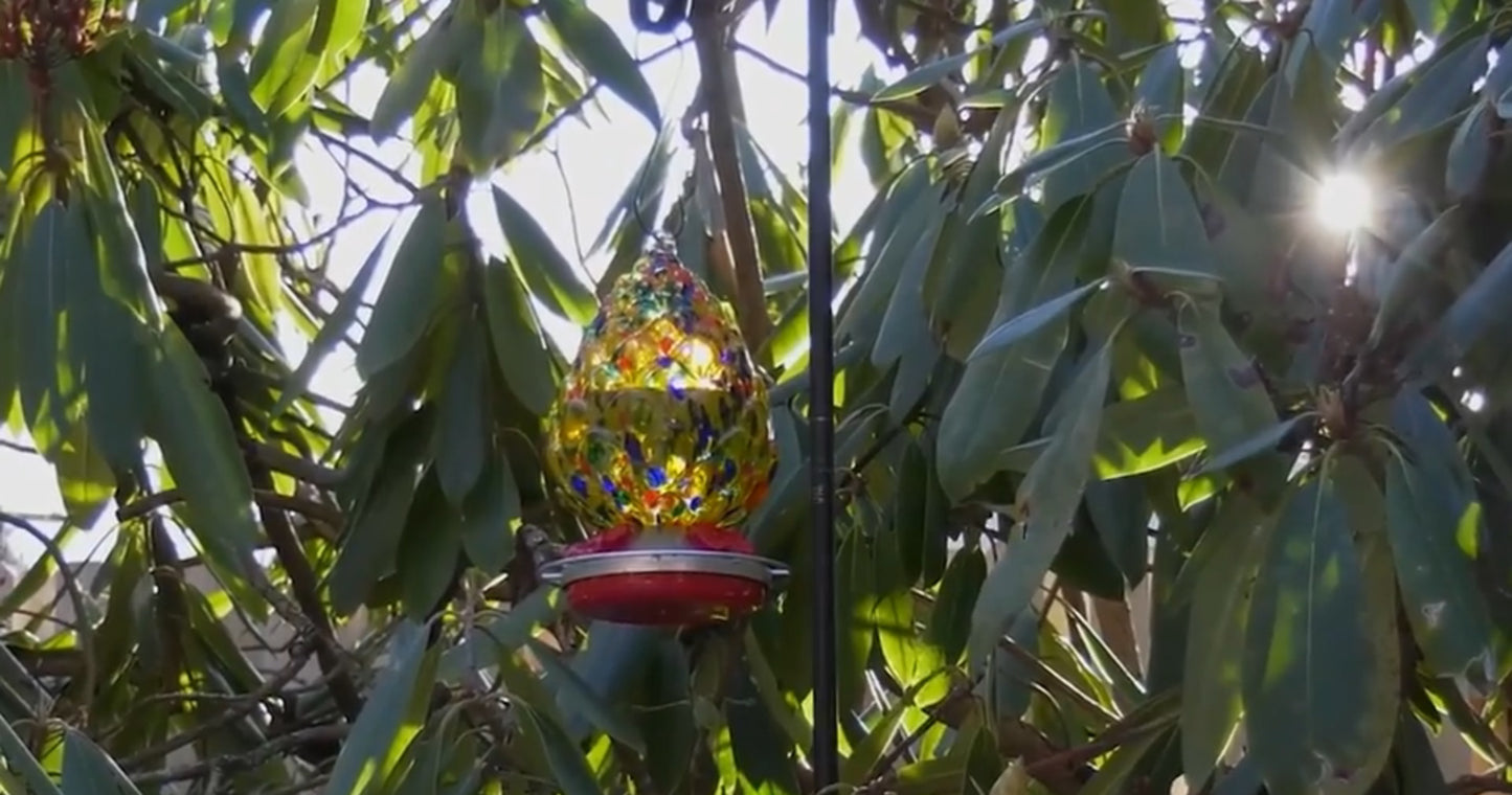 PINECONE HUMMINGBIRD FEEDER