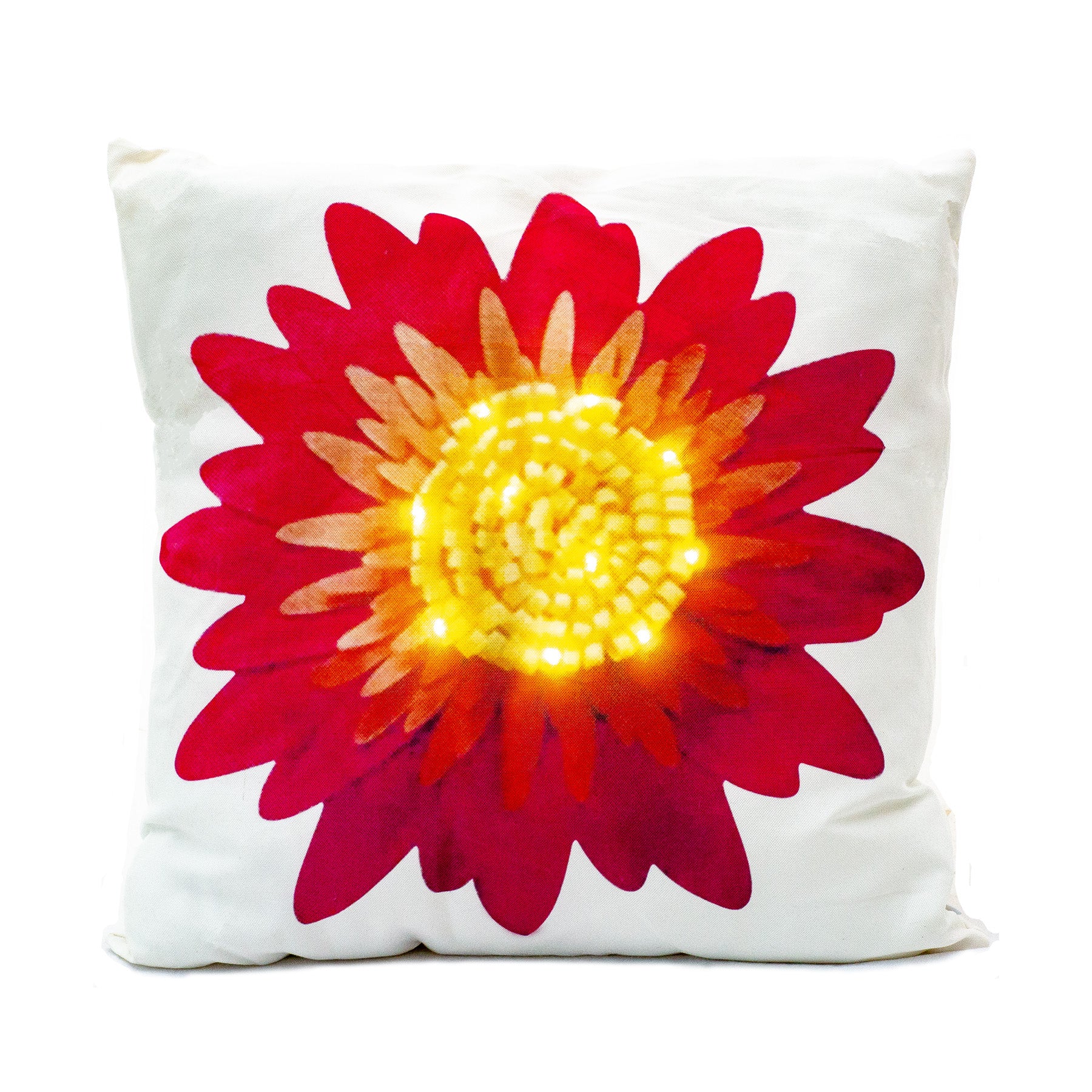 20200612_LEDpillows_0015-web (1)